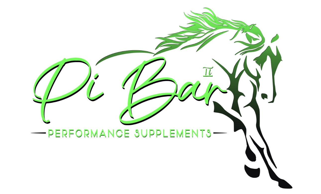 Pi Bar Performance Shirt