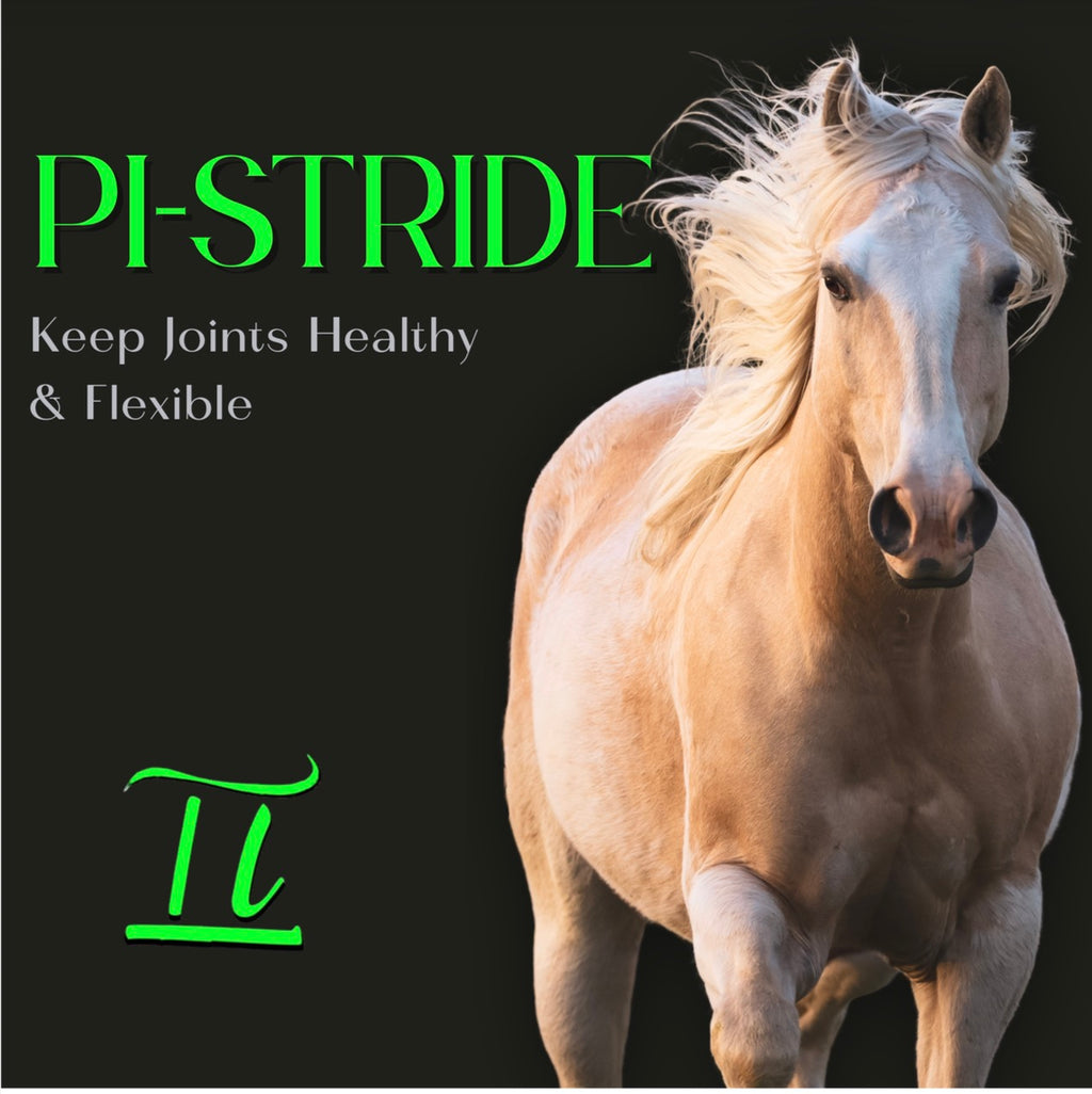 Pi-Stride