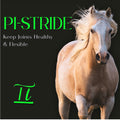 Pi-Stride