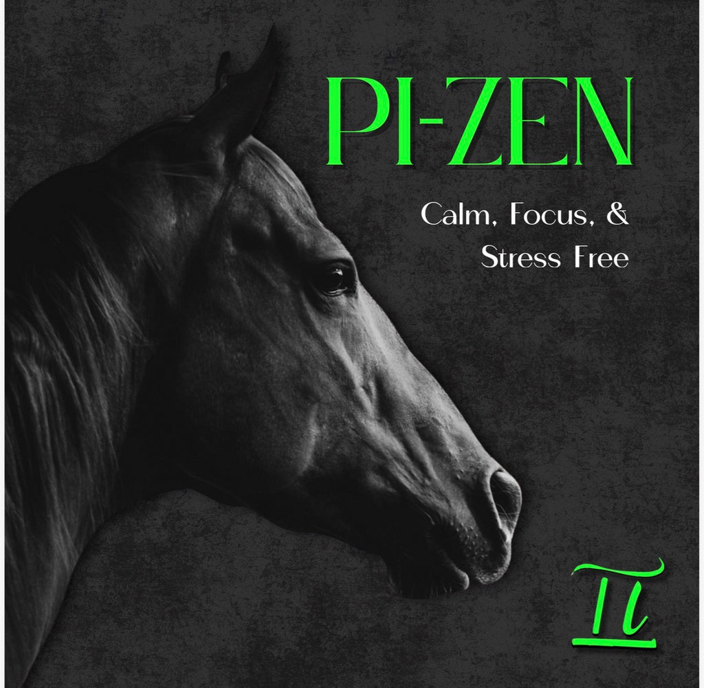 Pi-Zen