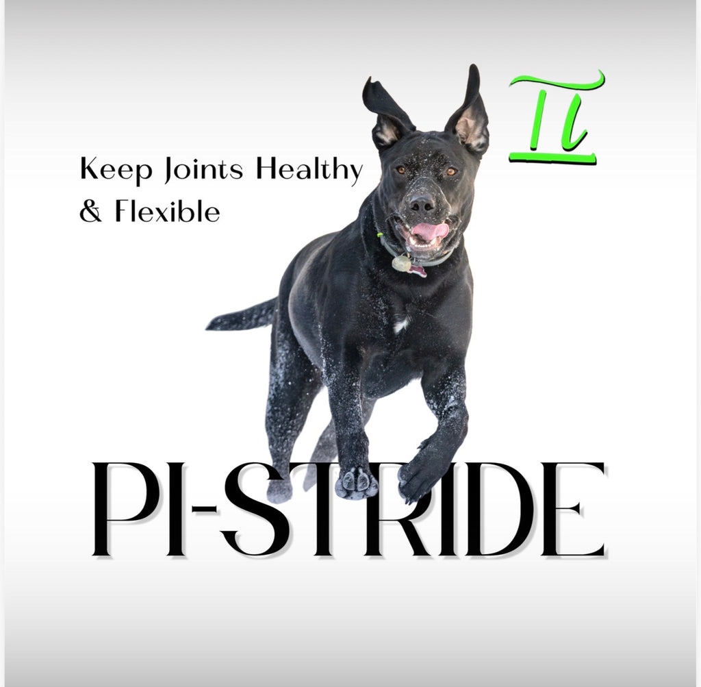 Pi-Stride K9
