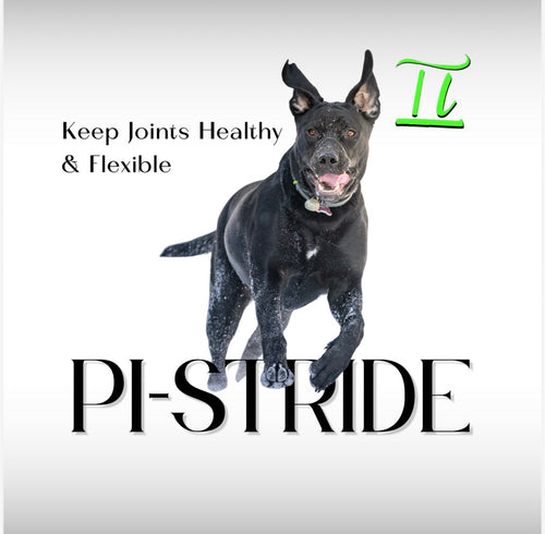 Pi-Stride K9