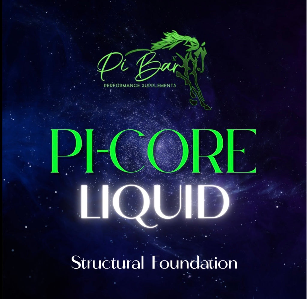 Pi-Core Performance System