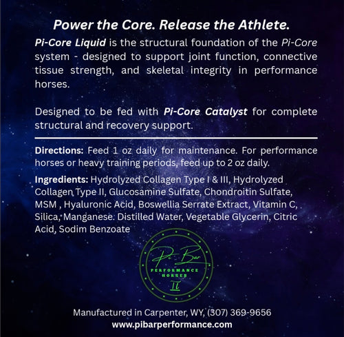 Pi-Core Performance System