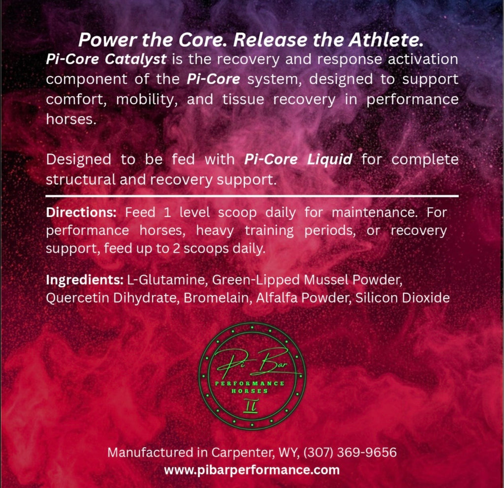 Pi-Core Performance System